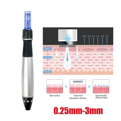 Electronic Nano/Steel Micro Needle Dermapen Auto-Stamp Motorized Meso Derma Roller Pen Dre80